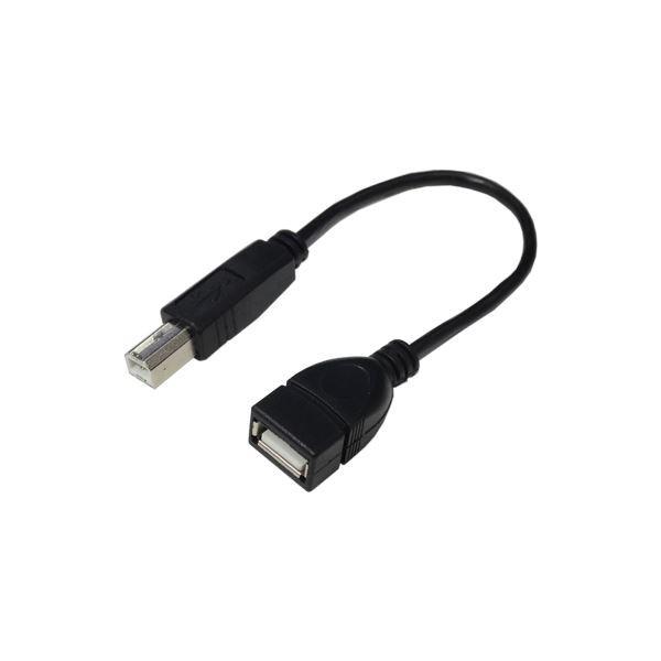 (܂Ƃ)ϊl USBP[u20 A(X) to B(IX) USBAB/BA20k×10Zbgl[21]