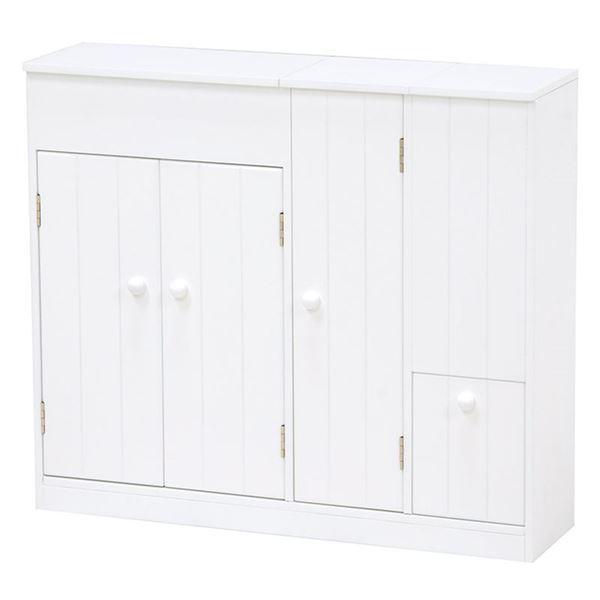 gCbN gC[ 60cm zCg e   [Ƌ [pi |pi[21]