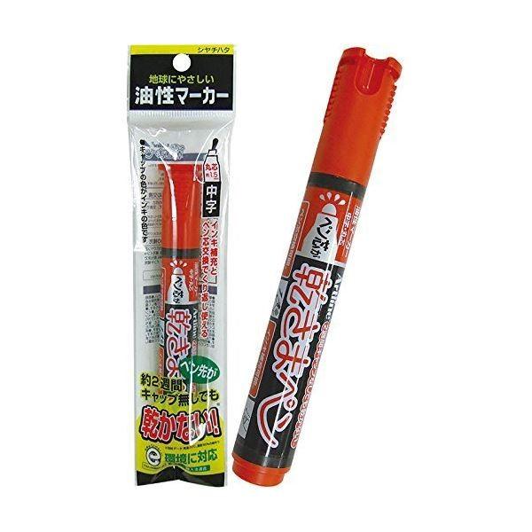 V`n^ y悪Ȃ}[J[ k10Zbgl 32-453[21]