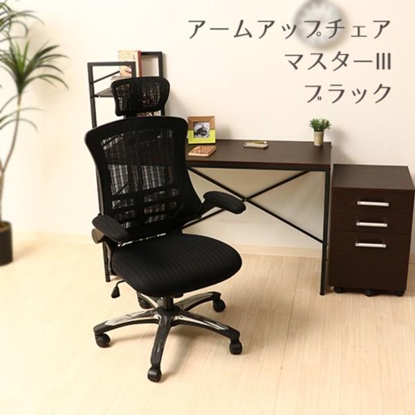 ItBX`FA fXN`FA 66cm ubN nCobN I| LX^[t @\A[Abv`FA }X^[IIIksl[21]