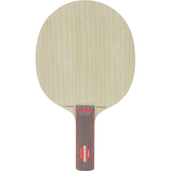 STIGA�i�X�e�B�K�j �V�F�C�N���P�b�g ALLROUND EVOLUTION CLASSIC�i�I�[�����E���h�G�{�����[�V���� �X�g���[�g�j[21]