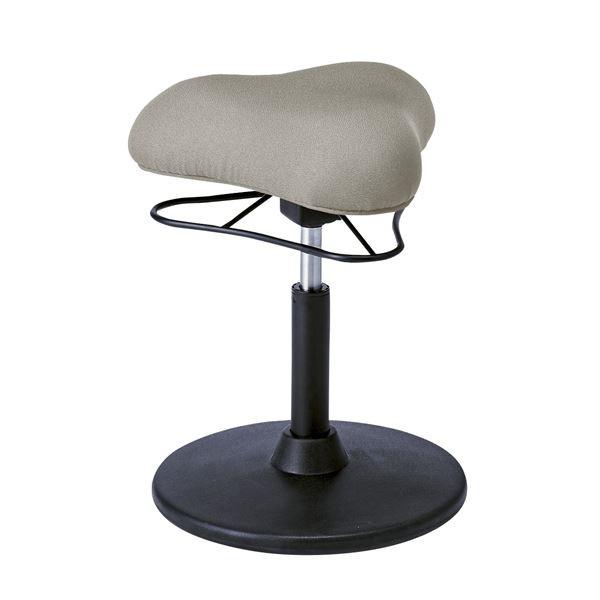 JE^[`FA 41cm LOW^Cv CgO[ X`[ 360x] ~ v|[VXc[ rO _CjOksl[21]