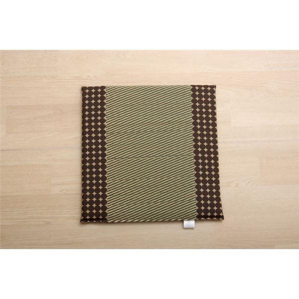 ԗp V[gNbV k}[u P}`tV[g uE 43×41cml { R hL L kJ[pi ԗpil[21]