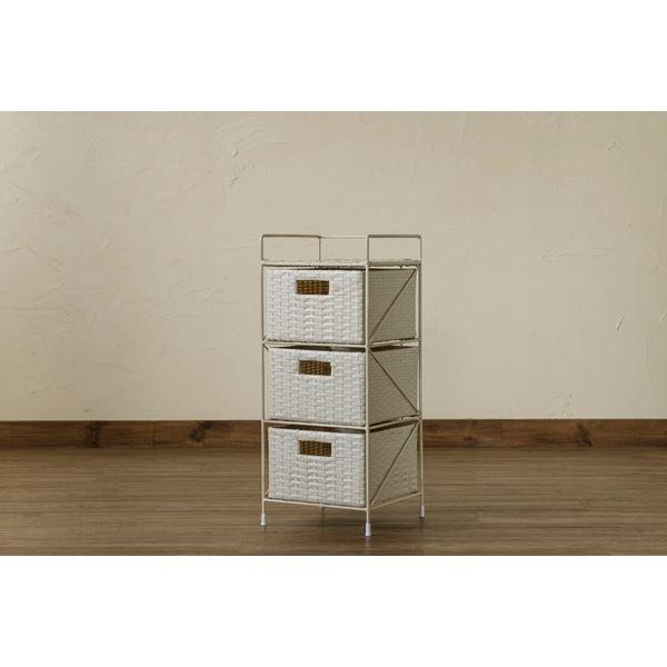 ^ [bN k3i AC{[l 25.5cm X`[t[ SrLbvt lH^ krO xbh[ li[21]