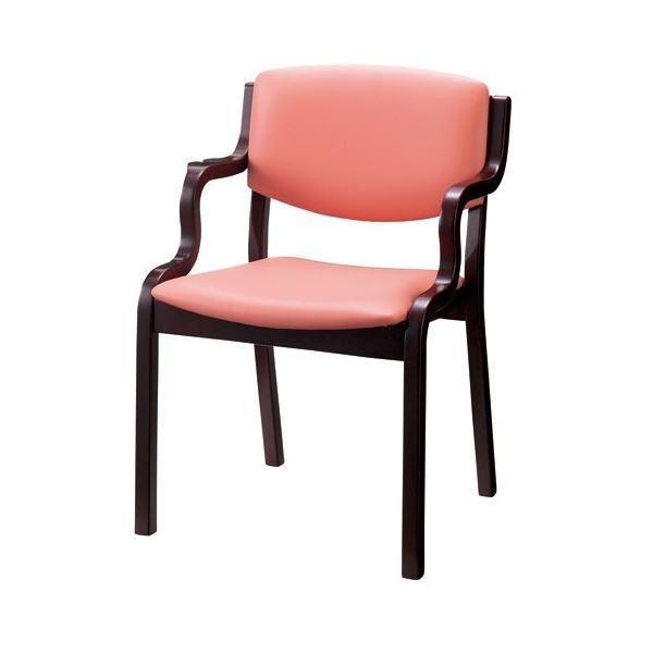 DLM ��c�C�X PD-5105S ���C�g�s���N��|�@�\�t[21]
