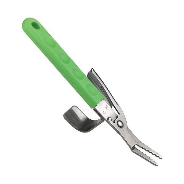 i܂Ƃ߁jWXe eRt jbp[ 811814k×5Zbgl[21]