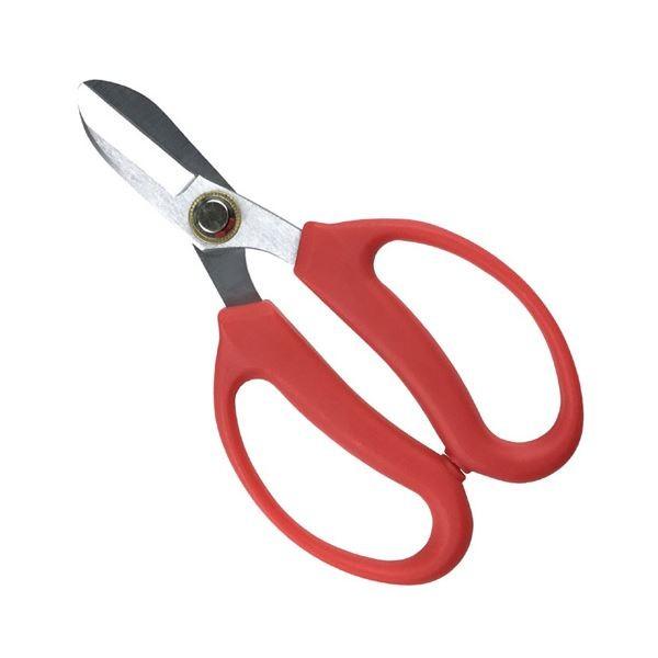 i܂Ƃ߁jWXe g₷A؃oT~  165mm 811813k×5Zbgl[21]