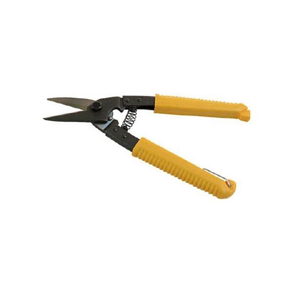 (܂Ƃ) MCCR[|[V \oT~MU-0020 1 k×10Zbgl[21]