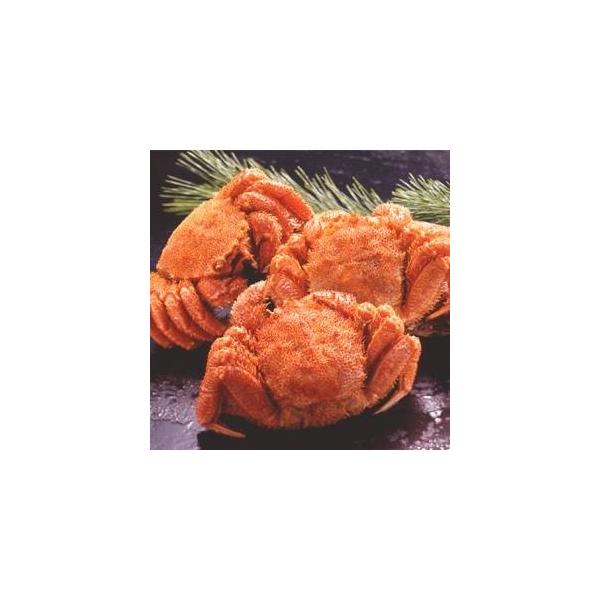 kkCYl{CуKjpi650g×3jksl[21]