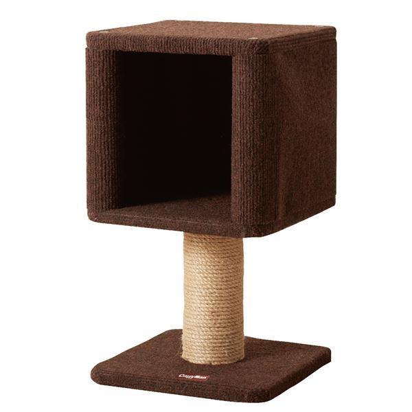 i܂Ƃ߁j_[ RpNgɂ{bNX iybgpijk×2Zbgl[21]