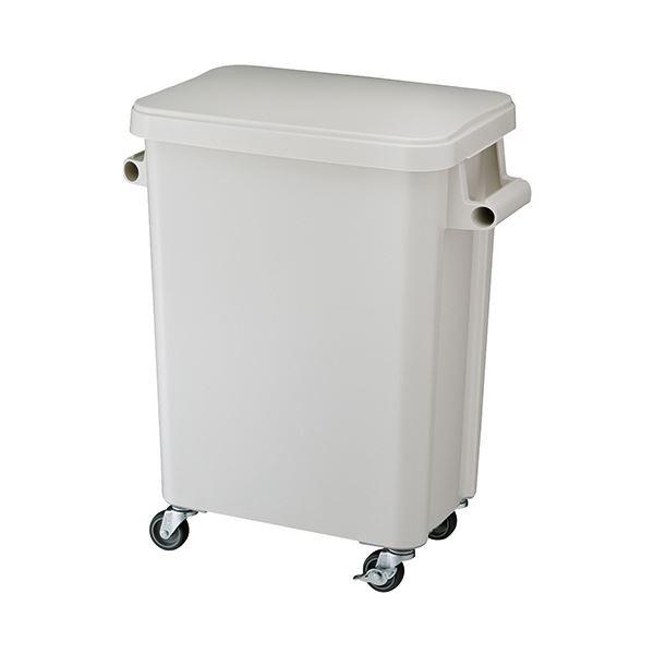 X ~[pLX^[y[ 45LO[ 1[21]