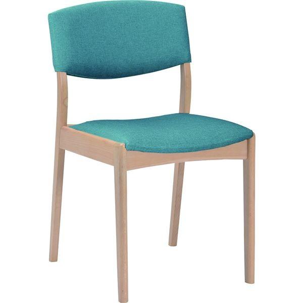 _CjO`FA H֎q 45cm t@ubN ؐ i`/u[ NA/BU k2rgl i[21]