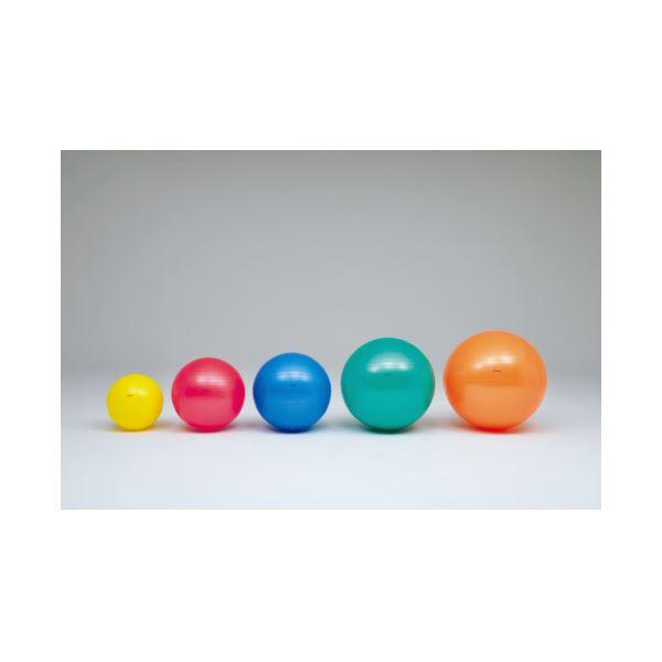 i܂Ƃ߁jDLM {fB[{[65cm  H7262k×2Zbgl[21]