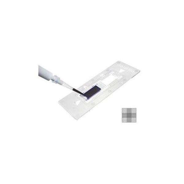 fBX|[UuvZՁiC-Chipj B-10[21]