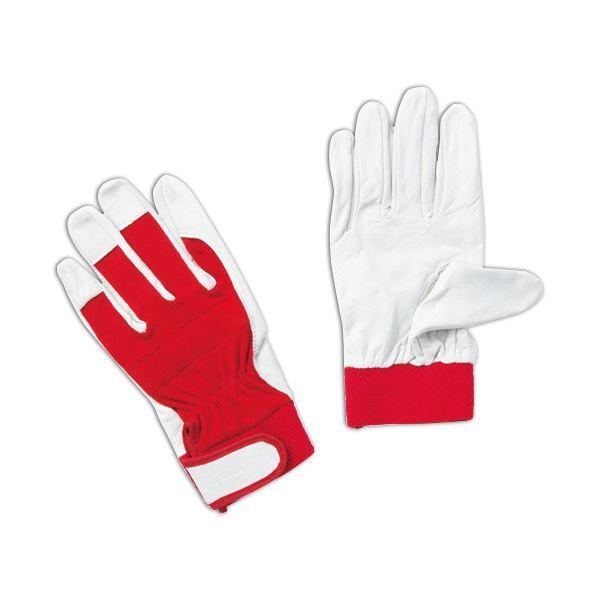 i܂Ƃ߁j~^jR[|[V #175 u^b }WbN M 209616 1pbNi3oj k×3Zbgl[21]