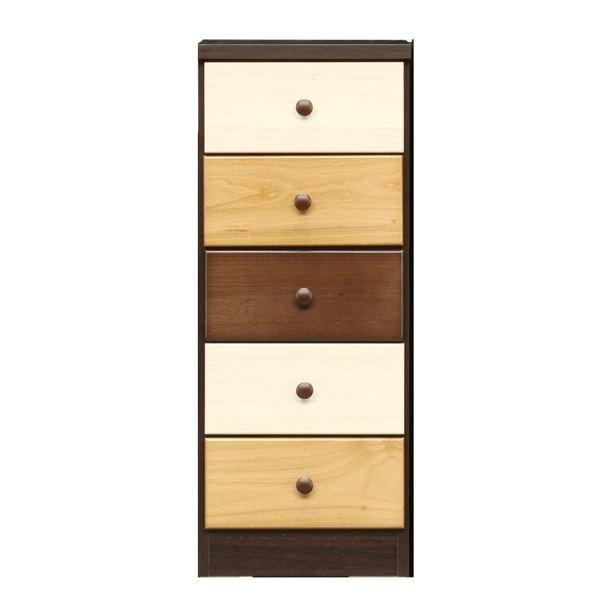 `FXg ^X 5i 39cm uE { { ؐ ː o[ q xbh[ Q rO i[21]