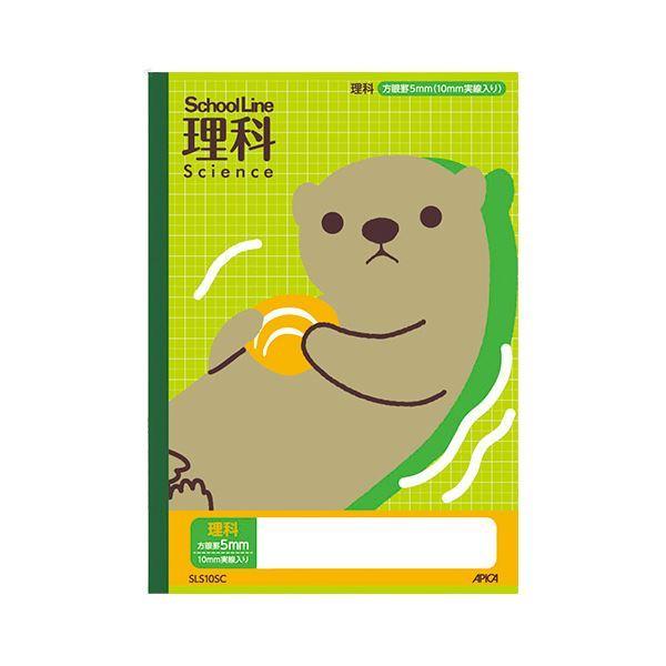 i܂Ƃ߁j AsJ XN[LbY Ȗږ XN[C  k×30Zbgl[21]