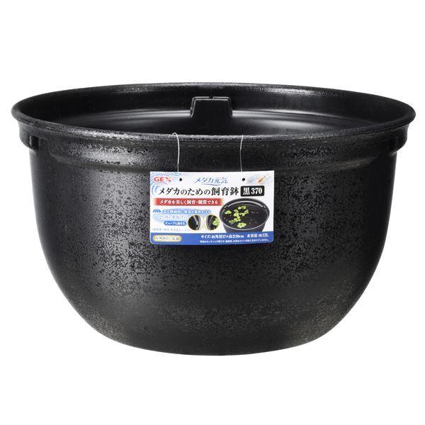 i܂Ƃ߁j _JC _Ĵ߂̎甫 370 iybgpij k×2Zbgl[21]