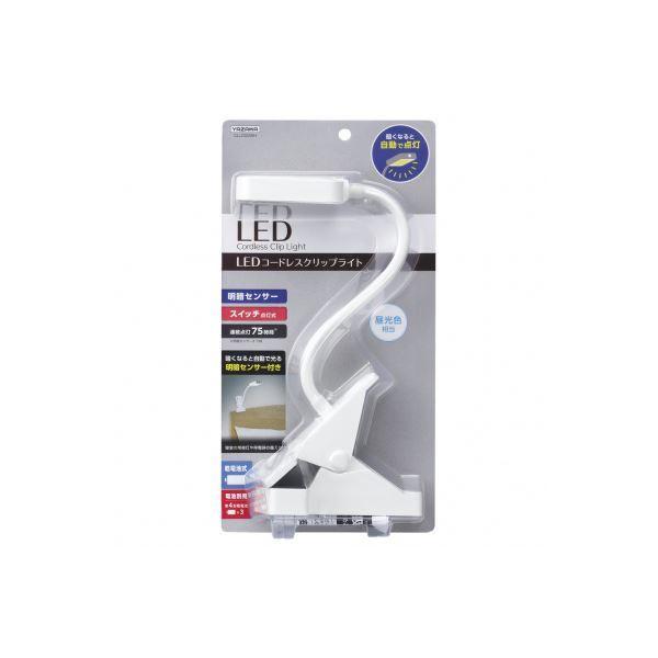 (܂Ƃ߁jYAZAWA drNbvCgZT[^CvCLLD02WHk×2Zbgl[21]