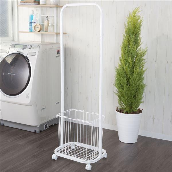 h[bN 28.5cm zCg LX^[t X`[ h[nK[bN h[[ gi Eߏ ʏksl[21]