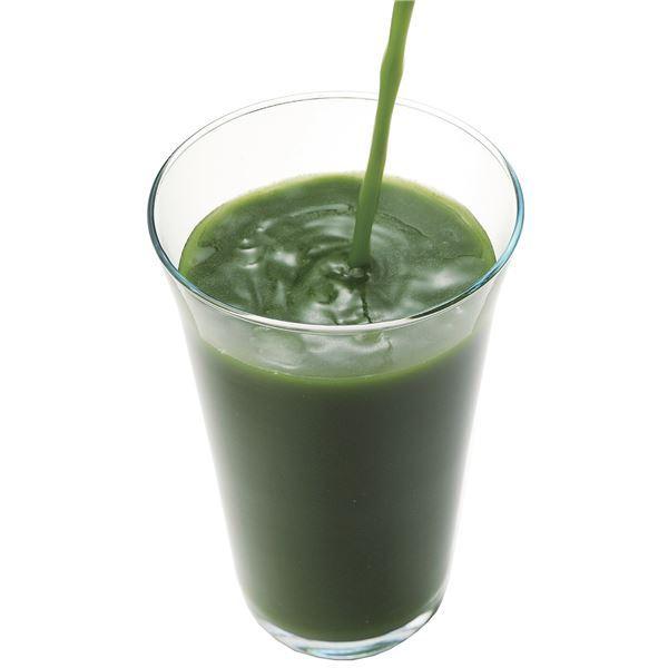 4̋BYؐ` 100ksl[21]