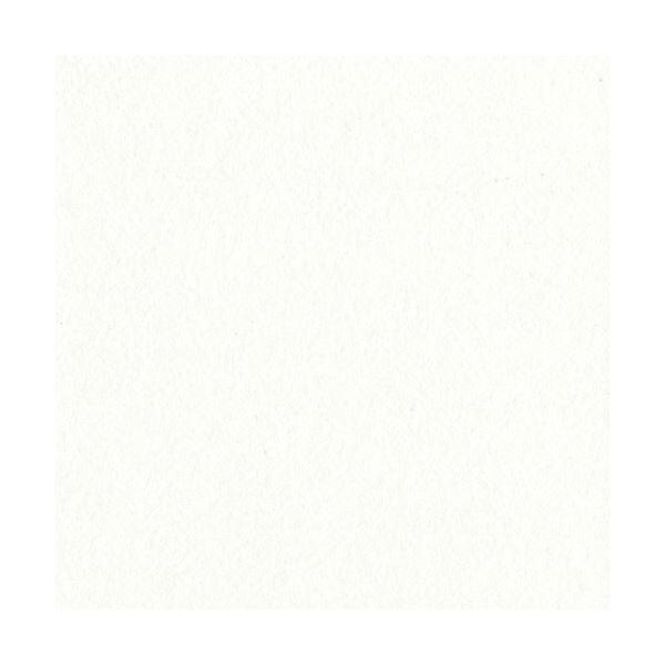 ebN j[J[R l ~N 4NCR-152 1pbN(100)[21]