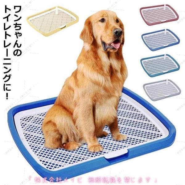 ペットトイレレイー 大型犬トイレ ワイド 犬用 マーキングポール フチ付き しつけ メッシュ しつけるウォールトレー ボ