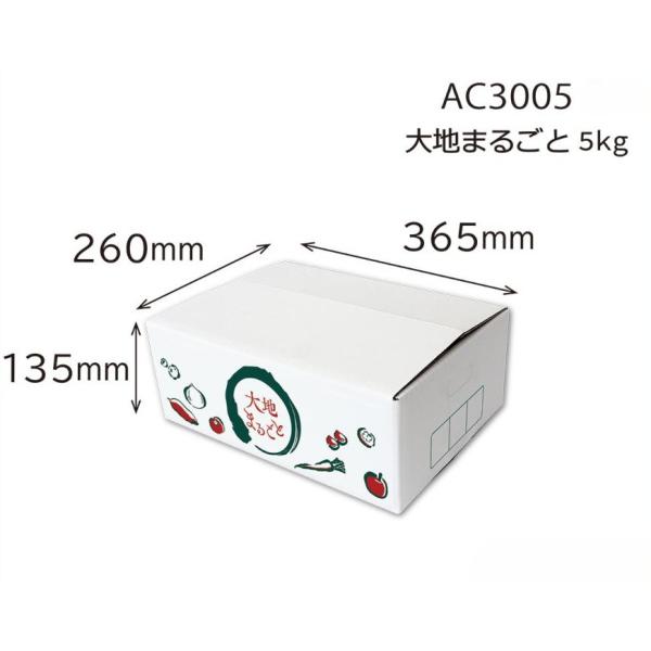 【詰合せ発送用送り箱】大地まるごと　5Kg（50枚入）　内寸：260×365×Ｈ135mm