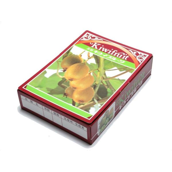 LEC@1K@ϔ(OPt)@100Zbg/