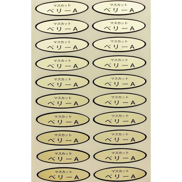 iV[@}XJbgx[`@49×14mm@ȉ~`500(20×25V[g)