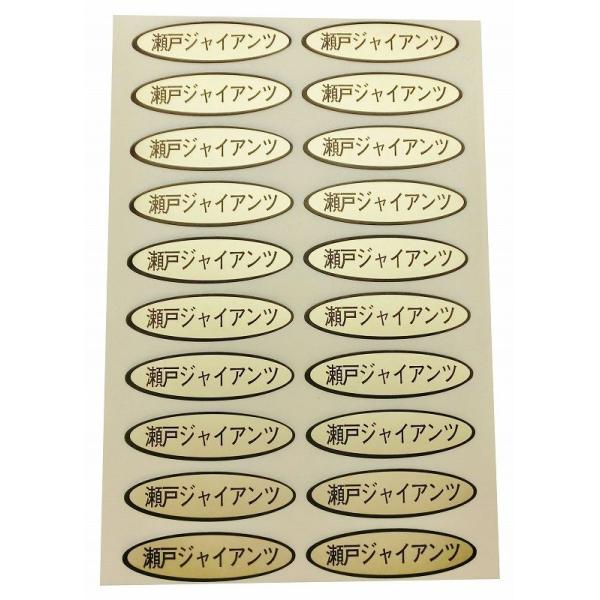 iV[@˃WCAc@49×14mm@ȉ~`500(20×25V[g)