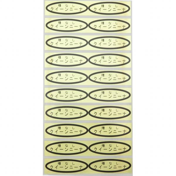 品種金シール　種なしクイーンニーナ　49×14mm　楕円形500枚(20枚×25シート)