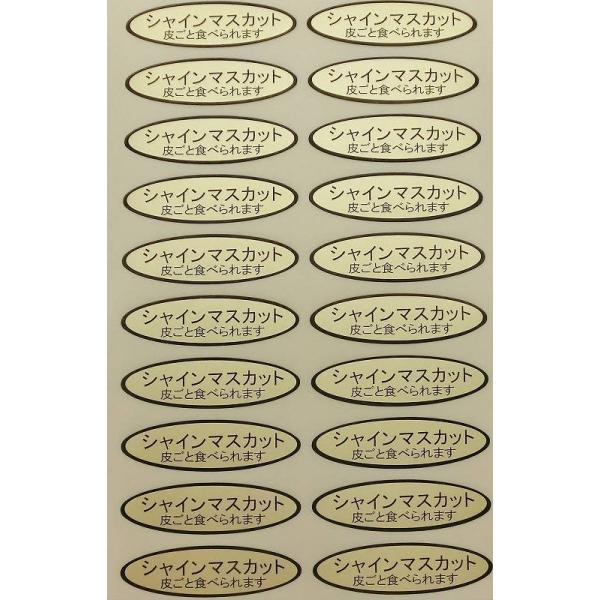 品種金シール シャインマスカット（皮ごと）49×14mm 楕円形500枚(20枚×25シート) :SEA003-012K:葡萄館 !店  通販 
