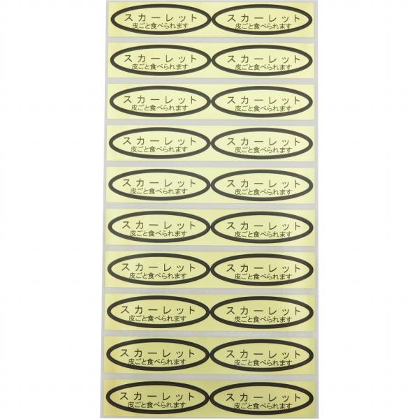 品種金シール　スカーレット（皮ごと）49×14mm　楕円形500枚(20枚×25シート)