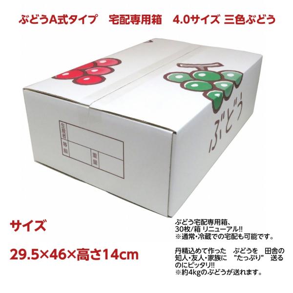 ぶどうA式タイプ 宅配専用箱 4.0サイズ 三色ぶどう（29.5×46×高さ