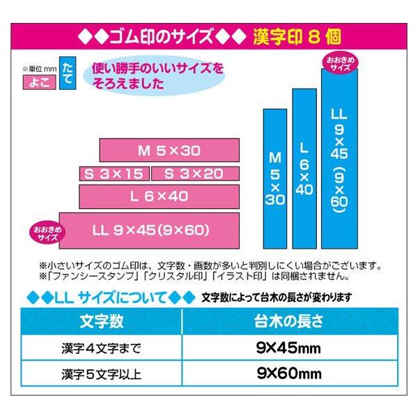 お名前スタンプ ねーむぱらだいす 漢字追加ゴム印セット ゴム印 学参フォント 漢字のゴム印だけのセット 入園準備 入学準備 Buyee 日本代购平台 产品购物网站大全 Buyee一站式代购 Bot Online