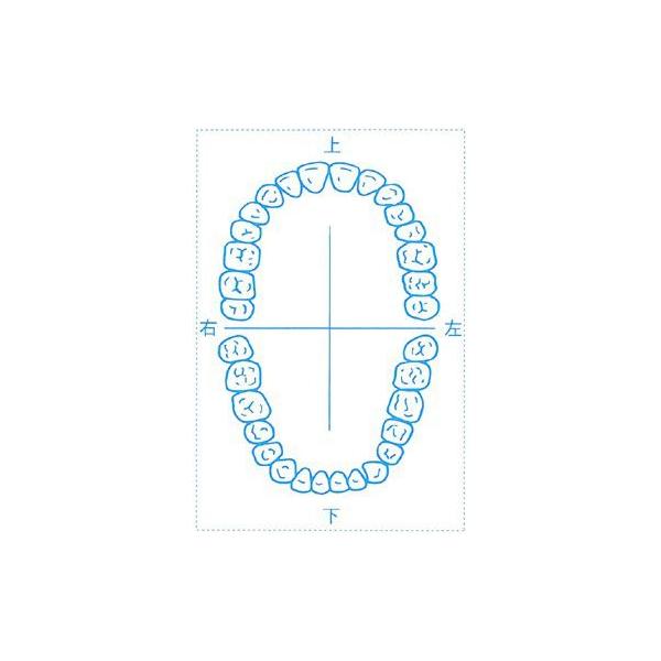 V`n^ ×pl̐} u-1v 50x75mm p^5075 S