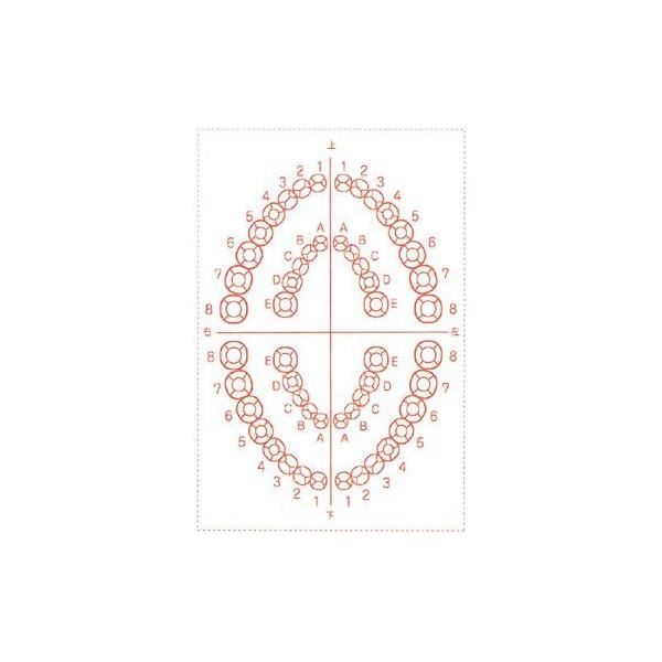 V`n^ ×pl̐} u-2v 50x75mm p^5075 S