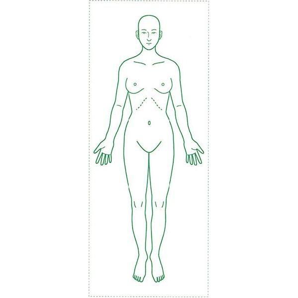 シャチハタ 医療用人体図 全身 女性正面 x60mm 角型印60号 ゴム印 はんこ奉行 通販 Paypayモール