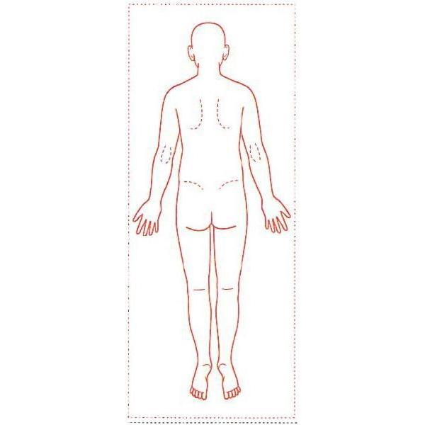 V`n^ ×pl̐} uSgiwʁjv 40x100mm p^40100 S