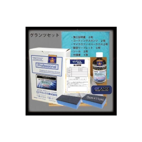 【直送品】 ケミックス グランツエキストラ セット GLNEXS 【大型】