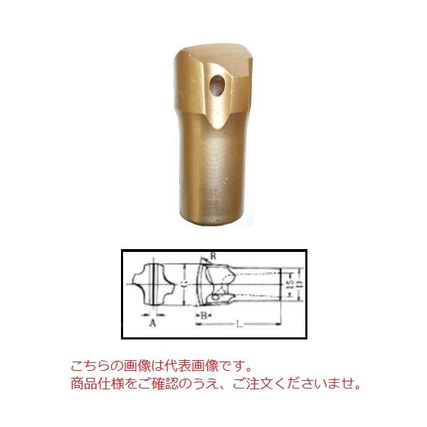 【直送品】 平戸金属 テーパーカービット TC19-38 (19H 38mm)
