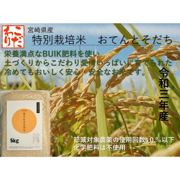 お米の力　様　　４点 お米の力 様 4点 RICE475 - REBIRTH PROJECT STORE | リバース