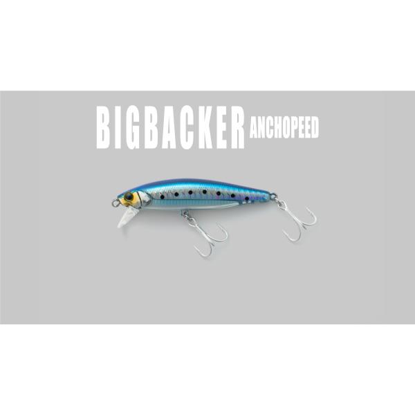 ジャッカル　ビックバッカー　アンチョピート120s 8個 ビッグバッカーアンチョピード SL (OS) - SALT WATER 海釣り