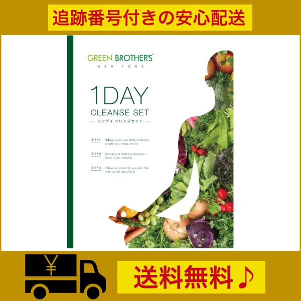 GB 1DAY CLEANSE SET ワンデイ クレンズ セット ダイエット食品 GB 1DAY GREEN BROTHERS ファスティングプログラム