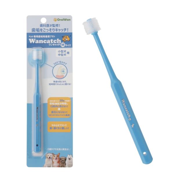 ylR|XΉizOralwan(I[) Wancatch Lb` ybgpCzuV MTCYi^E^pj