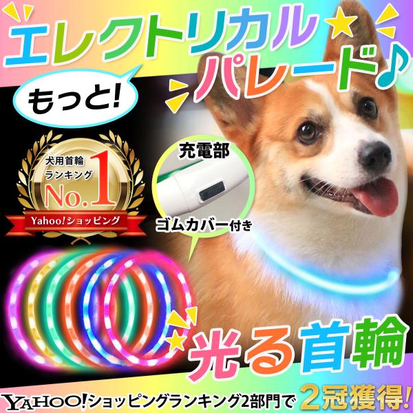首輪 犬 光る首輪 超軽量 レインボー LED USB 防犯 夜 散歩 首輪 犬 光る首輪 超軽量 レインボー LED USB 防犯 夜 散歩