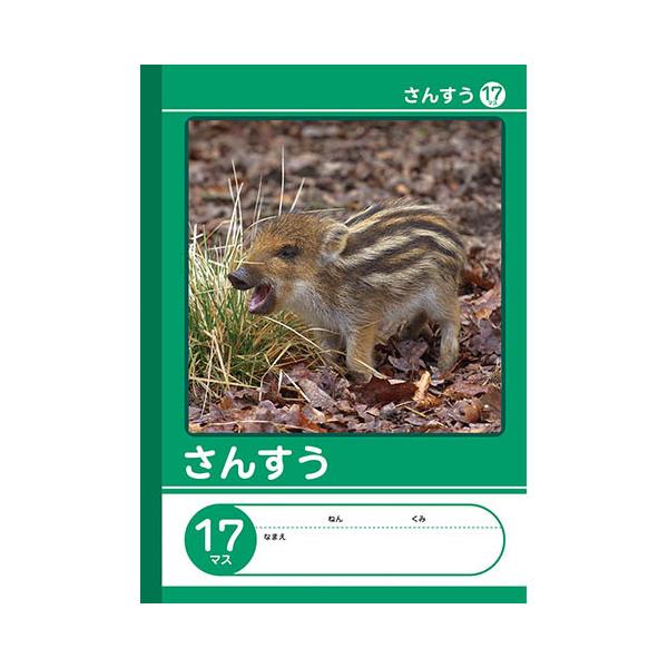 【7冊までメール便OK】NK学習帳 さんすう [17マス] 小学1〜4年生 NKB-B5G-SA17M 算数ノート 17マス さんすうノート 小学生 ノート