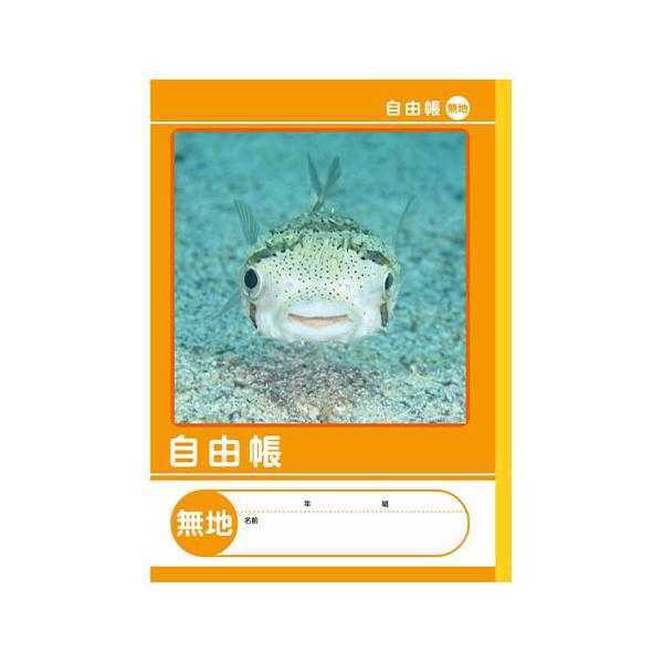 bun2bungu_4904333016539