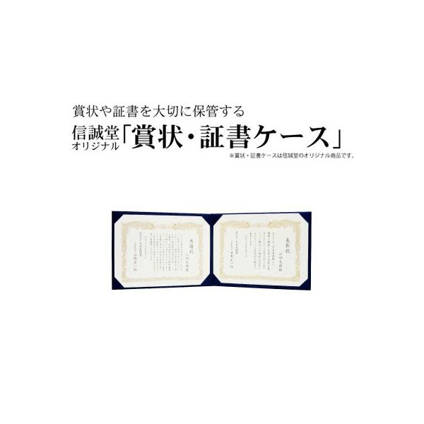 賞状書士   練習用セット 全て入るケース付き 賞状書士 練習用セット 全て入るケース付き bunbogu-